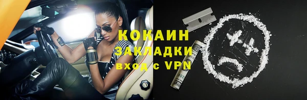 шишки Абинск