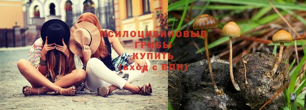 ECSTASY Абаза